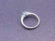 田川を愛する質屋とその質草たち