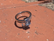 田川を愛する質屋とその質草たち