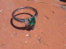 田川を愛する質屋とその質草たち