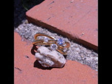 田川を愛する質屋とその質草たち