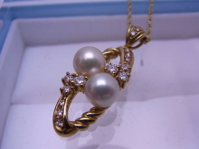 $田川を愛する質屋とその質草たち